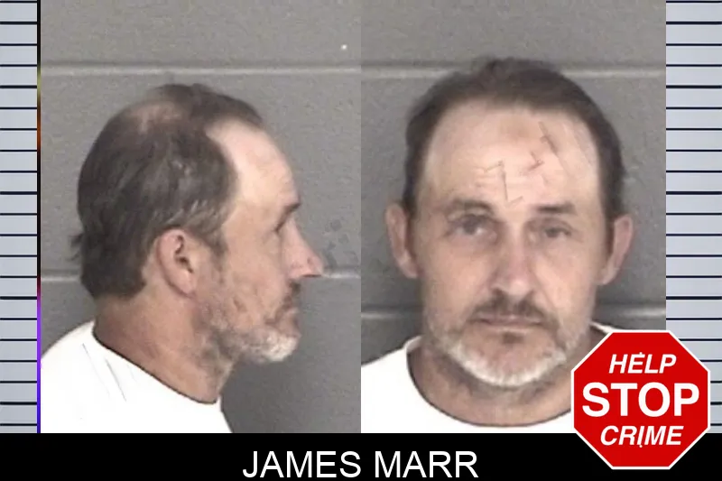 James Marr mugshot – Barrow County , Georgia James Marr mugshot