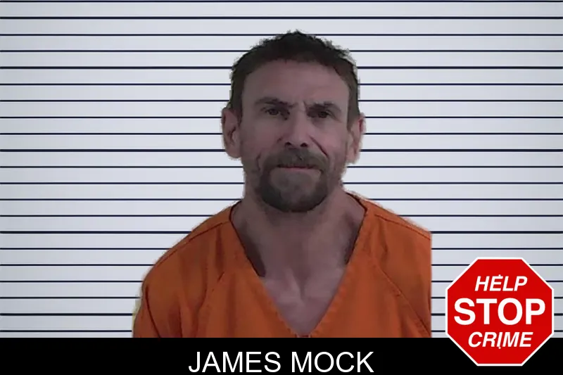 James Mock mugshot – Fannin County , Georgia James Mock mugshot