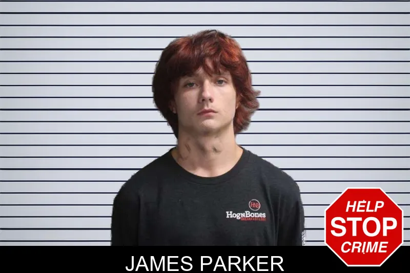 James Parker mugshot – Crisp County , Georgia James Parker mugshot