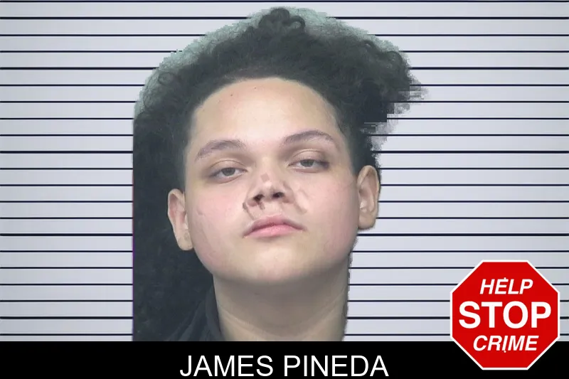 James Pineda mugshot – Gwinnett County , Georgia James Pineda mugshot