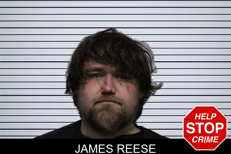 James Reese mugshot – Habersham County , Georgia James Reese mugshot