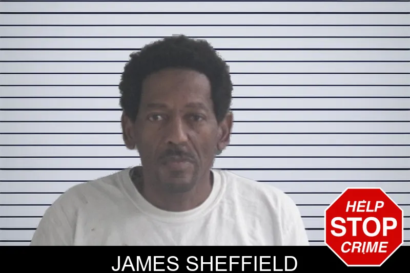 James Sheffield mugshot – Brantley County , Georgia James Sheffield mugshot