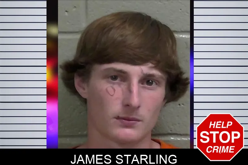 James Starling mugshot – Wayne County , Georgia James Starling mugshot