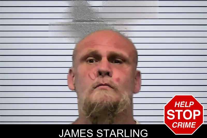 James Starling mugshot – Ware County , Georgia James Starling mugshot