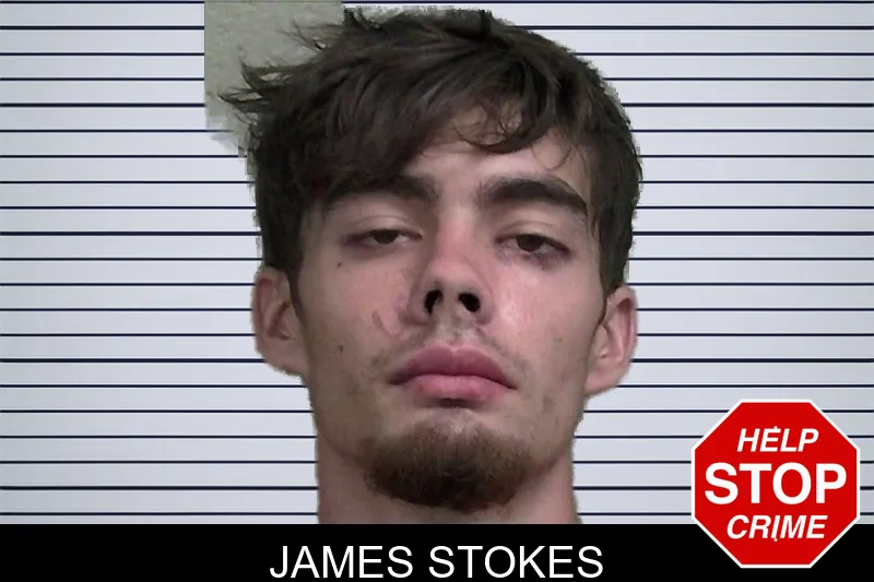 James Stokes mugshot – Wayne County , Georgia James Stokes mugshot