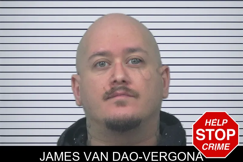 James Van Dao-Vergona mugshot
