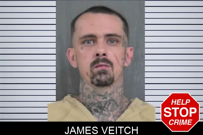 James Veitch mugshot