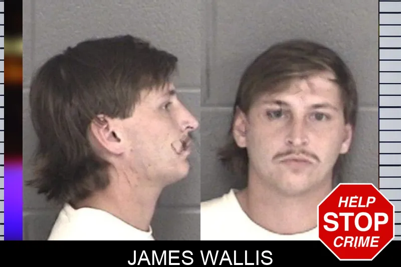 James Wallis mugshot – Barrow County , Georgia James Wallis mugshot