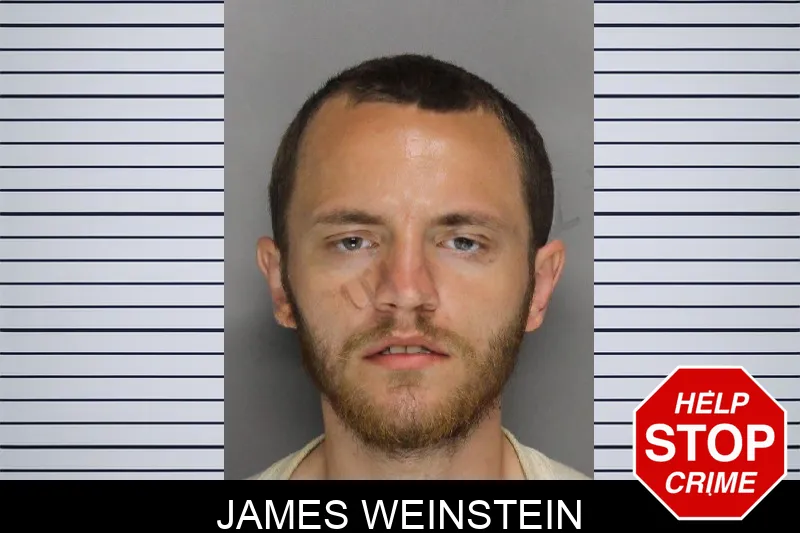 James Weinstein mugshot – Cobb County , Georgia James Weinstein mugshot