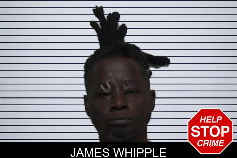 James Whipple mugshot – Laurens County , Georgia James Whipple mugshot