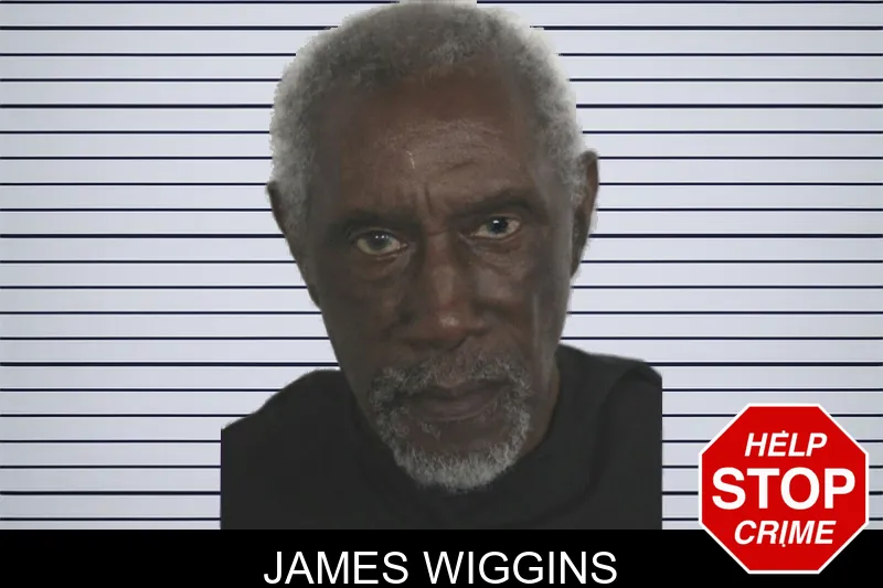 James Wiggins mugshot