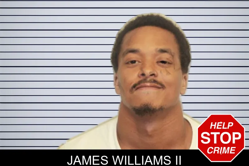 James Williams II mugshot – Chatham County , Georgia James Williams II mugshot