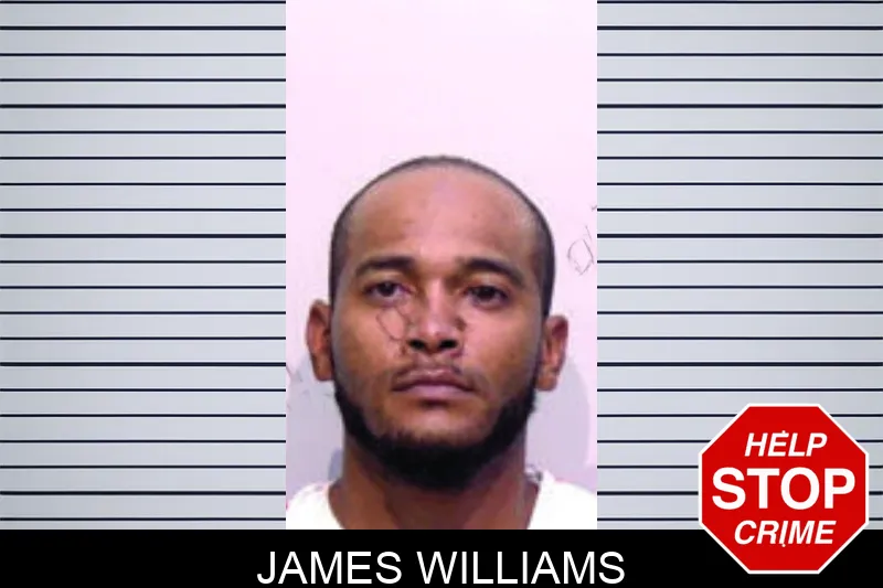 James Williams mugshot – Bartow County , Georgia James Williams mugshot