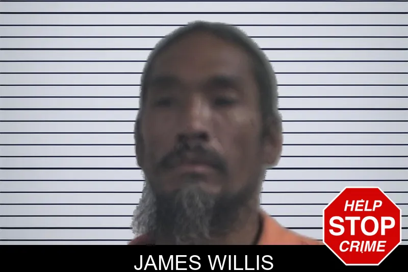 James Willis mugshot – McDuffie County , Georgia James Willis mugshot