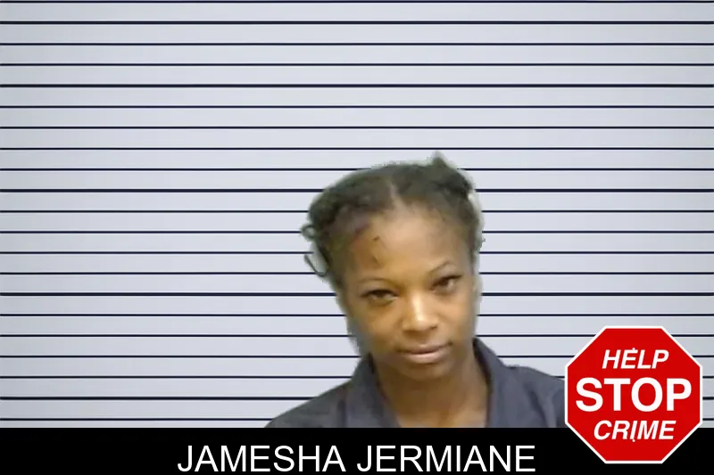 Jamesha Jermiane mugshot – Fulton County , Georgia Jamesha Jermiane mugshot