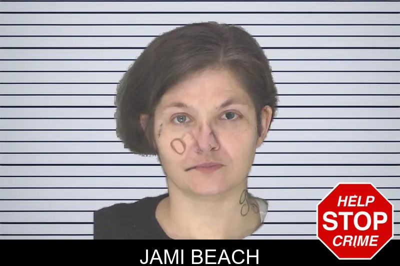 Jami Beach mugshot – Douglas County , Georgia Jami Beach mugshot