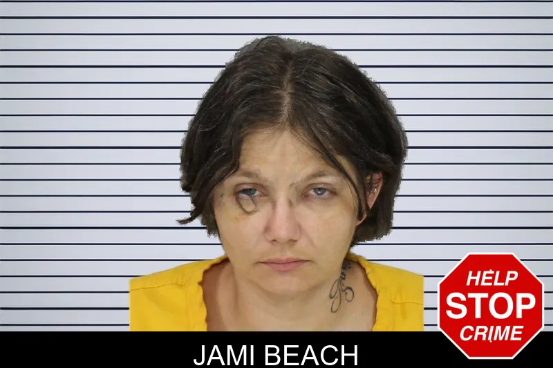 Jami Beach mugshot – Cobb County , Georgia Jami Beach mugshot