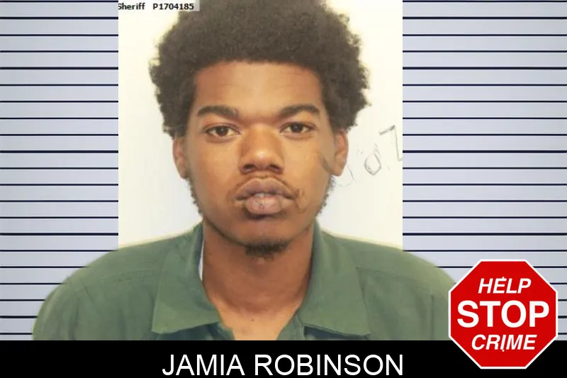 Jamia Robinson mugshot