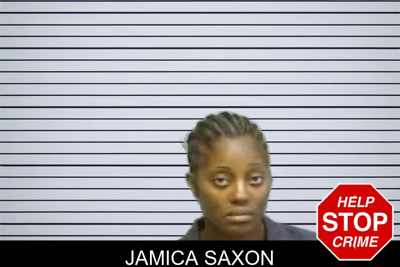 Jamica Saxon mugshot – Fulton County , Georgia Jamica Saxon mugshot