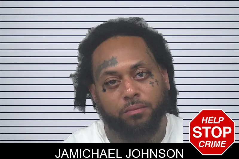 Jamichael Johnson mugshot