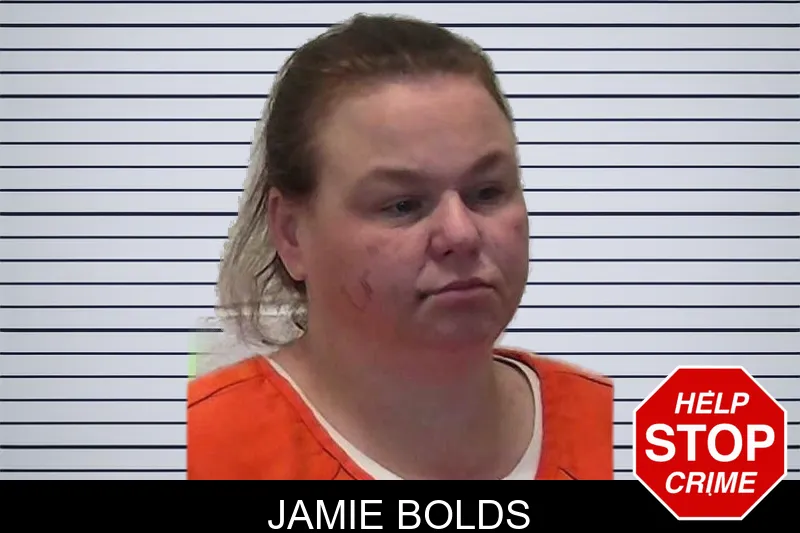 Jamie Bolds mugshot – Pierce County , Georgia Jamie Bolds mugshot