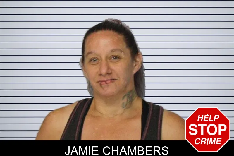 Jamie Chambers mugshot