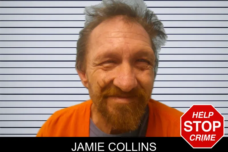 Jamie Collins mugshot – Franklin County , Georgia Jamie Collins mugshot