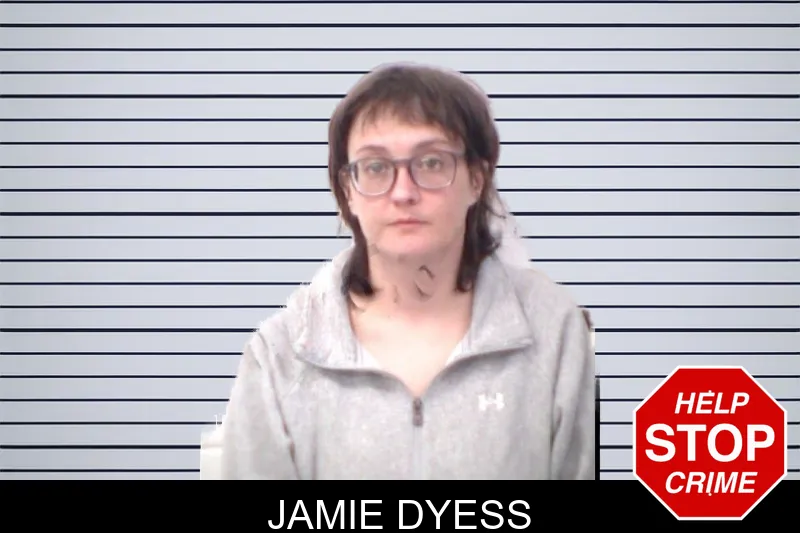 Jamie Dyess mugshot