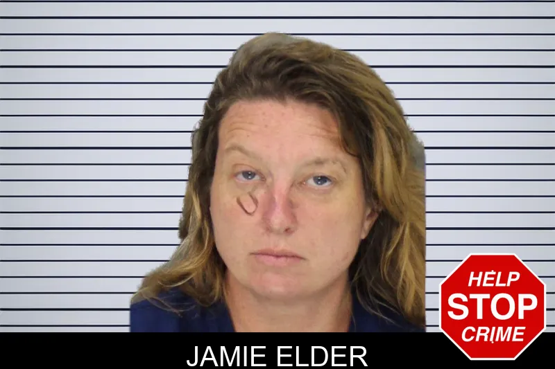 Jamie Elder mugshot – Cobb County , Georgia Jamie Elder mugshot