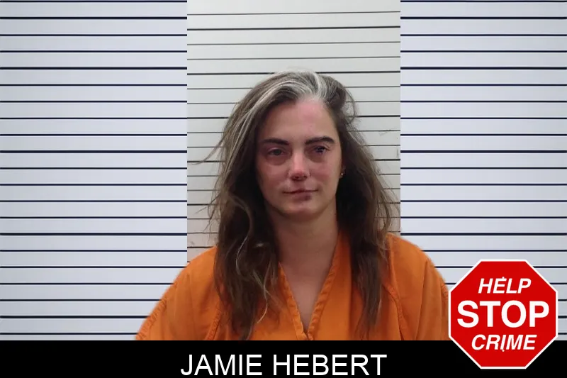 Jamie Hebert mugshot – Pickens County , Georgia Jamie Hebert mugshot