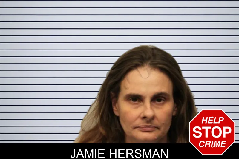 Jamie Hersman mugshot – Chatham County , Georgia Jamie Hersman mugshot