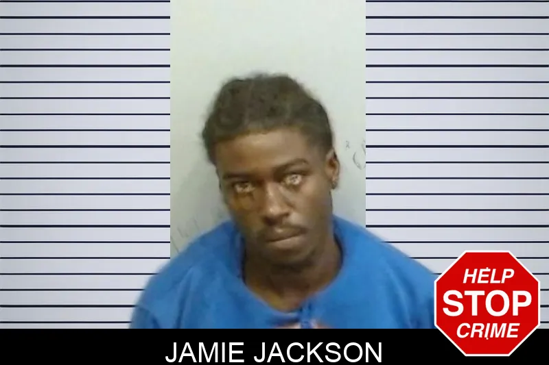 Jamie Jackson mugshot – Fulton County , Georgia Jamie Jackson mugshot
