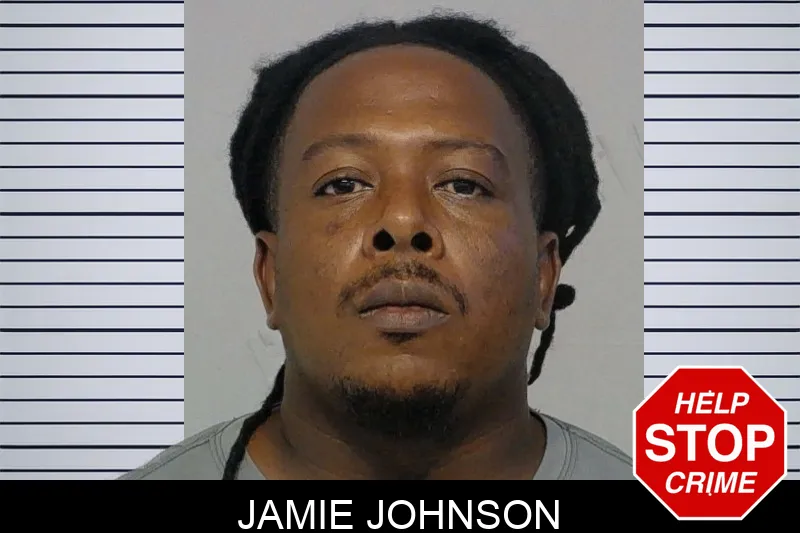 Jamie Johnson mugshot – Bibb County , Georgia Jamie Johnson mugshot