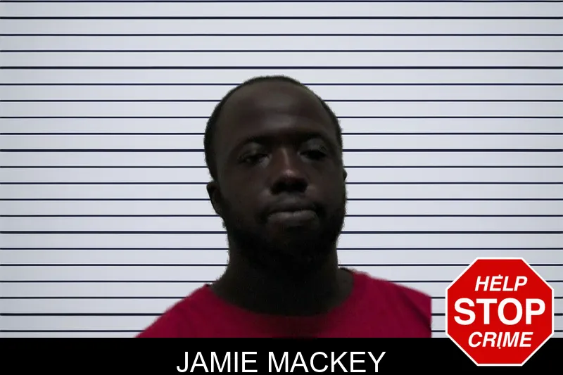 Jamie Mackey mugshot – Pierce County , Georgia Jamie Mackey mugshot