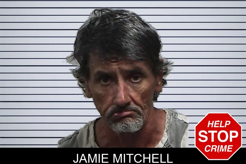 Jamie Mitchell mugshot – Tift County , Georgia Jamie Mitchell mugshot