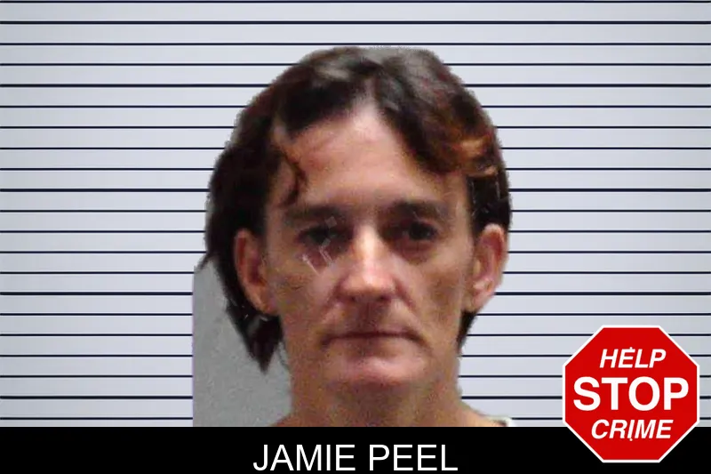 Jamie Peel mugshot