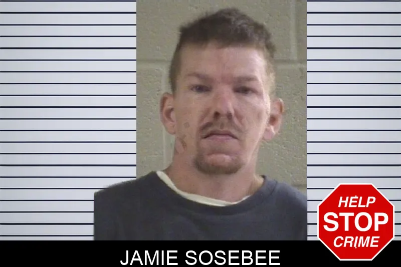 Jamie Sosebee mugshot