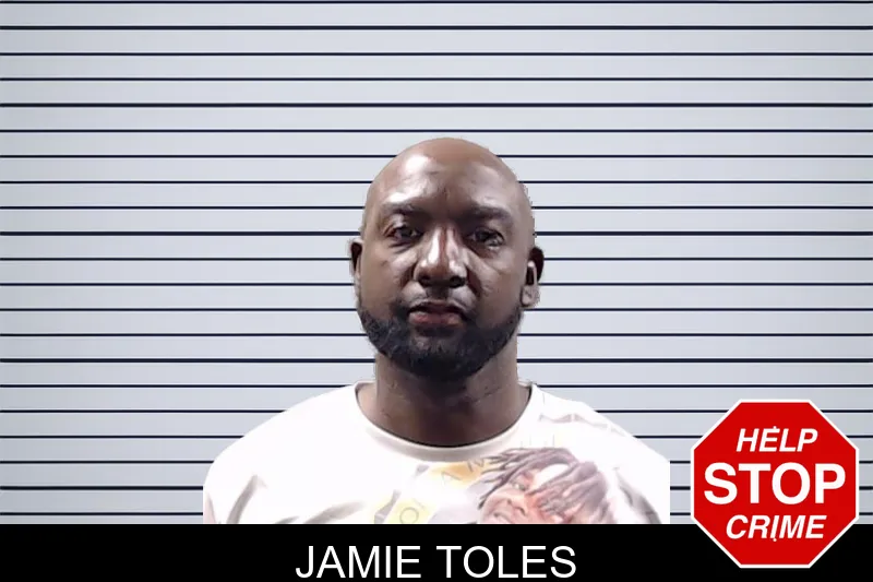 Jamie Toles mugshot – DeKalb County , Georgia Jamie Toles mugshot