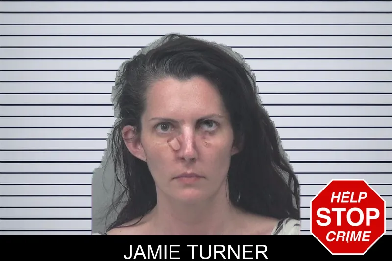 Jamie Turner mugshot