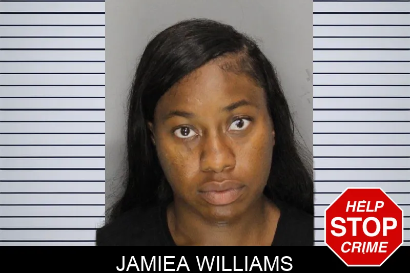 Jamiea Williams mugshot – Cobb County , Georgia Jamiea Williams mugshot