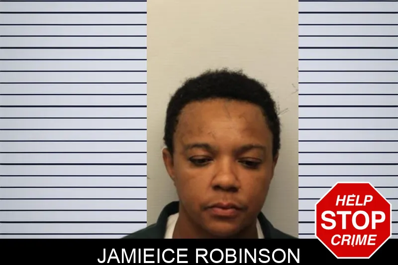 Jamieice Robinson mugshot – Chatham County , Georgia Jamieice Robinson mugshot