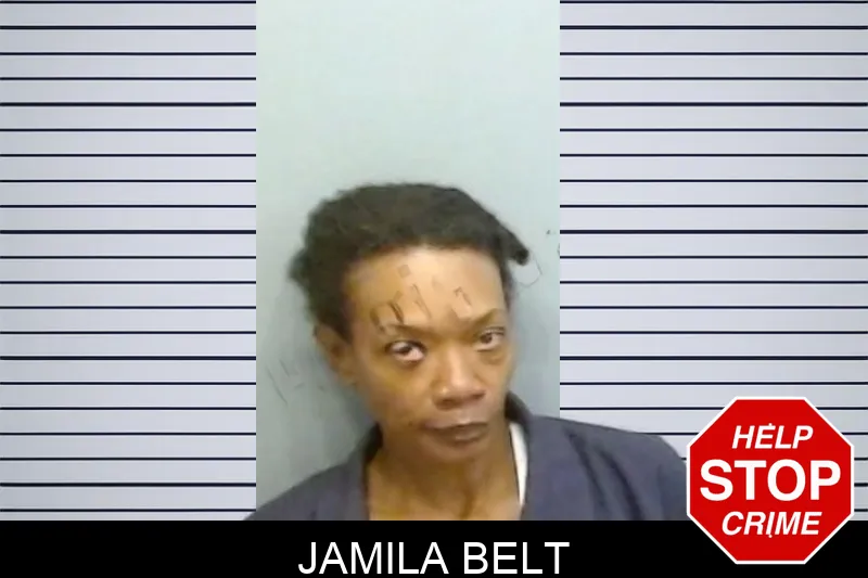 Jamila Belt mugshot – Fulton County , Georgia Jamila Belt mugshot