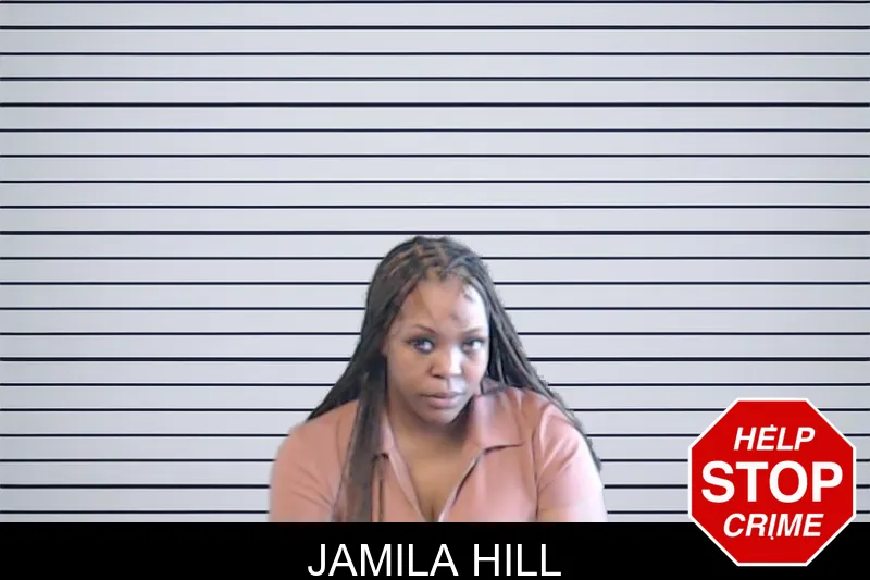 Jamila Hill mugshot – DeKalb County , Georgia Jamila Hill mugshot