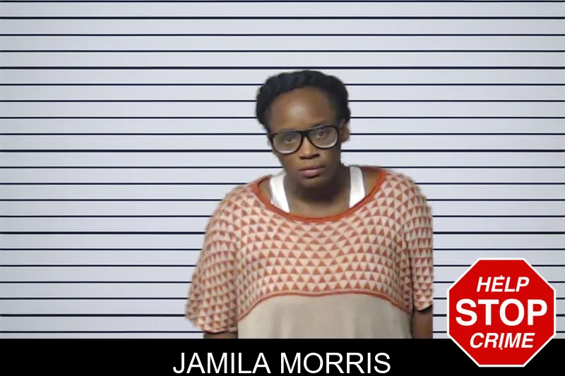 Jamila Morris mugshot – DeKalb County , Georgia Jamila Morris mugshot