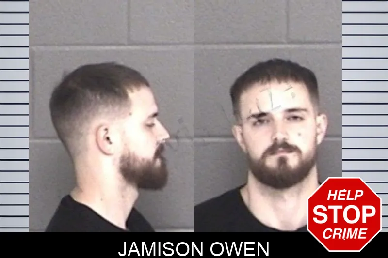 Jamison Owen mugshot – Barrow County , Georgia Jamison Owen mugshot