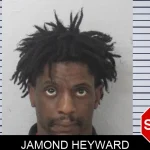 Jamond Heyward mugshot – Mcintosh County , Georgia Jamond Heyward mugshot