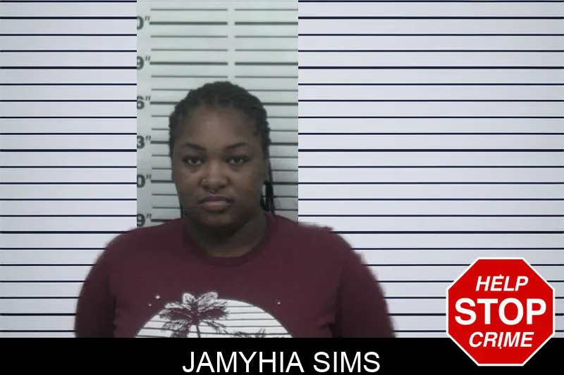 Jamyhia Sims mugshot – Sumter County , Georgia Jamyhia Sims mugshot