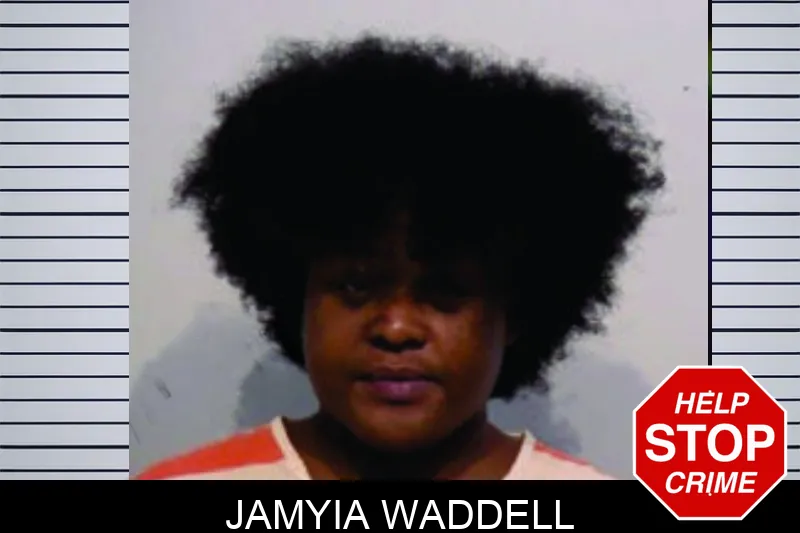 Jamyia Waddell mugshot – Bartow County , Georgia Jamyia Waddell mugshot