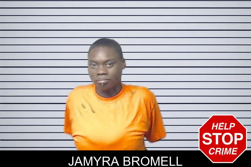 Jamyra Bromell mugshot – DeKalb County , Georgia Jamyra Bromell mugshot