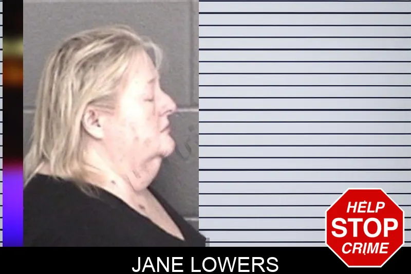 Jane Lowers mugshot – Barrow County , Georgia Jane Lowers mugshot